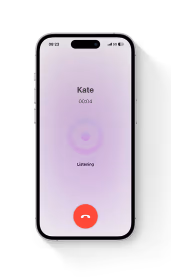 Voice interaction screenshot